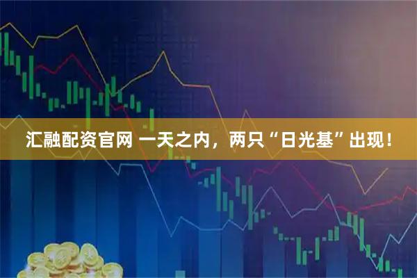 汇融配资官网 一天之内，两只“日光基”出现！