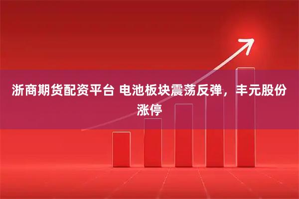 浙商期货配资平台 电池板块震荡反弹，丰元股份涨停