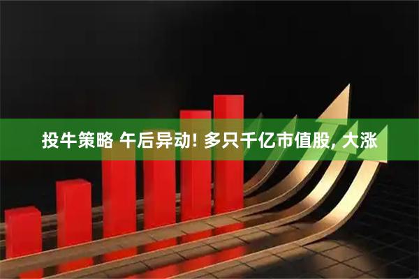 投牛策略 午后异动! 多只千亿市值股, 大涨